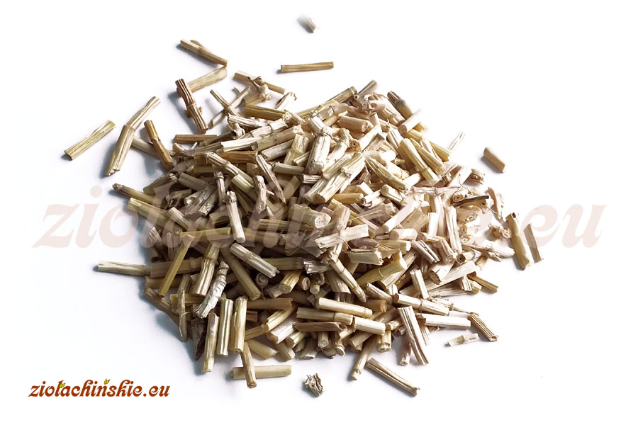 Bai Mao Gen / Mao Gen - Imperatae, Rhizoma