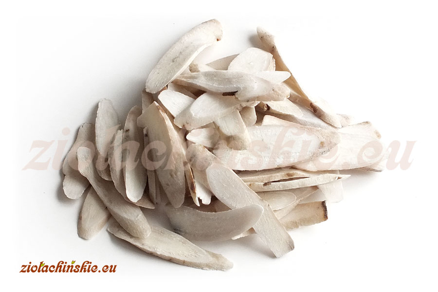Bai Shao / Bai Shao Yao / Shao Yao - Paeoniae alba, Radix - Piwonia (Paeonia) biała, Korzeń