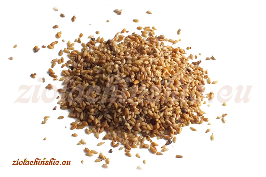 Bai Zi Ren - Platycladi (Biotae) orientalis, Semen - Biota wschodnia (Platykladus wschodni, Żywotnik wschodni), Nasiono