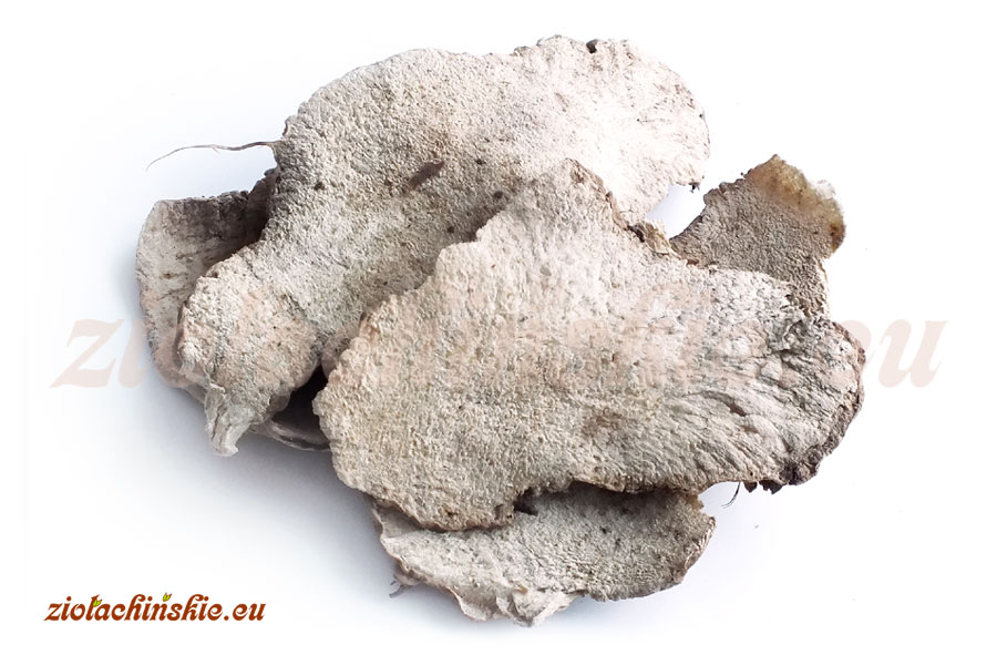 Bi Xie / Bei Xie - Dioscoreae hypoglaucae, Rhizoma - Pochrzyn, Kłącze