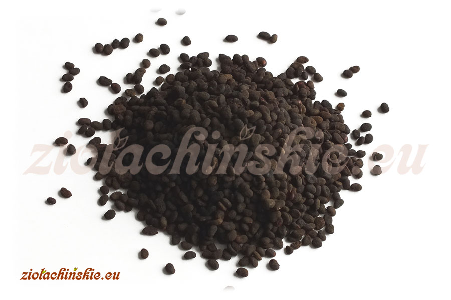Bu Gu Zhi / Po Gu Zhi - Psoraleae, Fructus