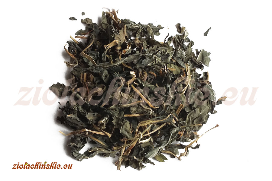 Da Qing Ye - Isatidis, Folium - Urzet barwierski, Liść