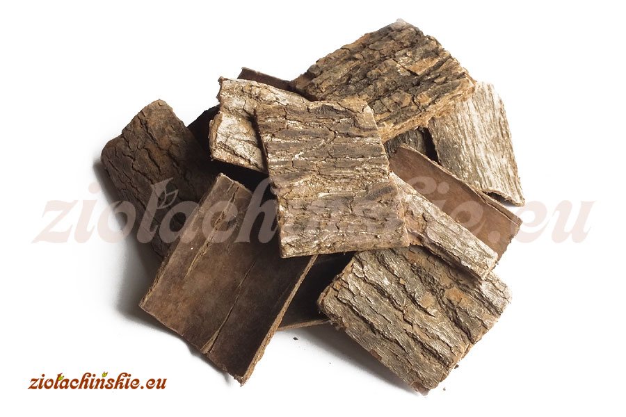 Du Zhong - Eucommiae, Cortex - Eukomia wiązowata, Kora