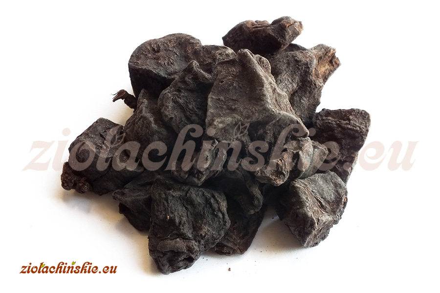 He Shou Wu (Zhi) - Polygoni multiflori, Radix, Praeparata - Rdest wielokwiatowy, Korzeń, Preparowany