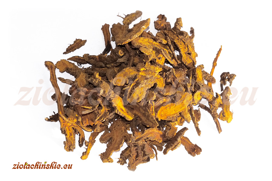 Huang Lian / Chuan Lian - Coptidis, Rhizoma - Cynowód, Kłącze