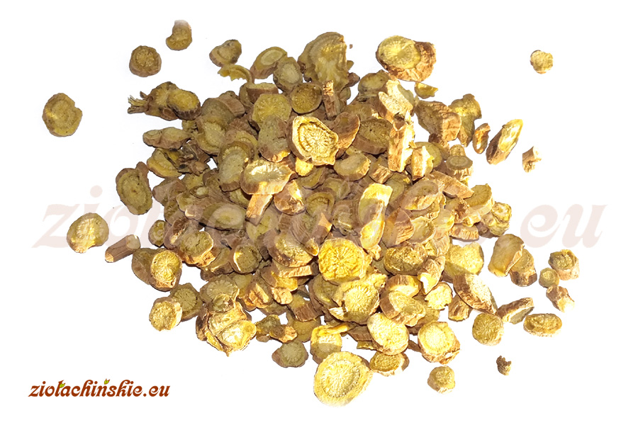 Huang Qin - Scutellariae, Radix - Tarczyca bajkalska, Korzeń