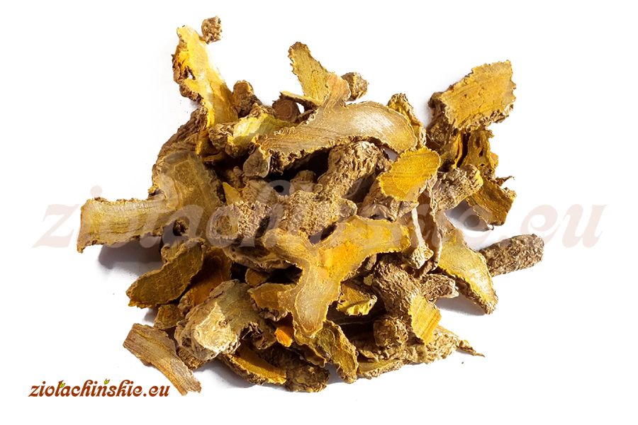 Jiang Huang - Curcumae longae, Rhizoma - Ostryż długi (Kurkuma długa), Kłącze