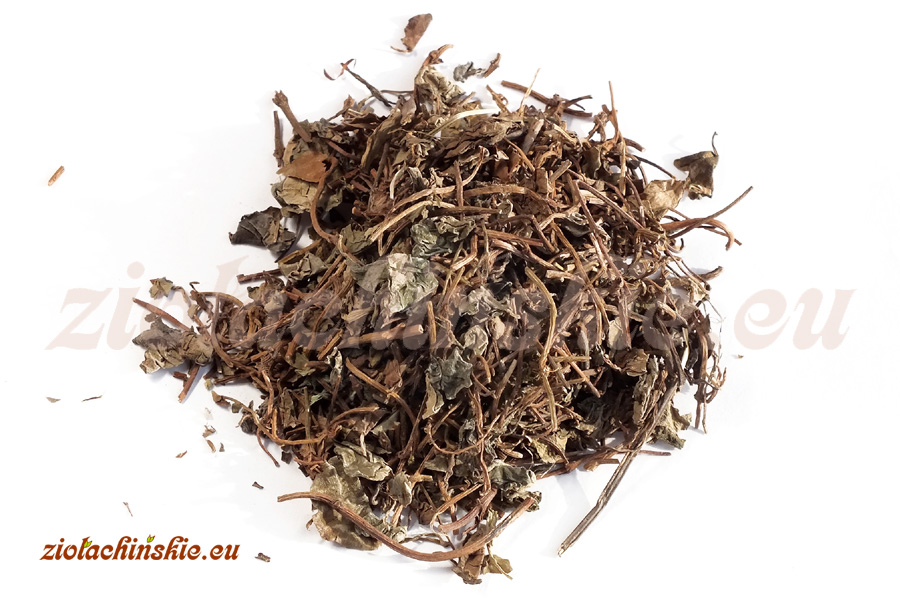 Jin Qian Cao - Lysimachiae, Herba - Tojeść, Ziele