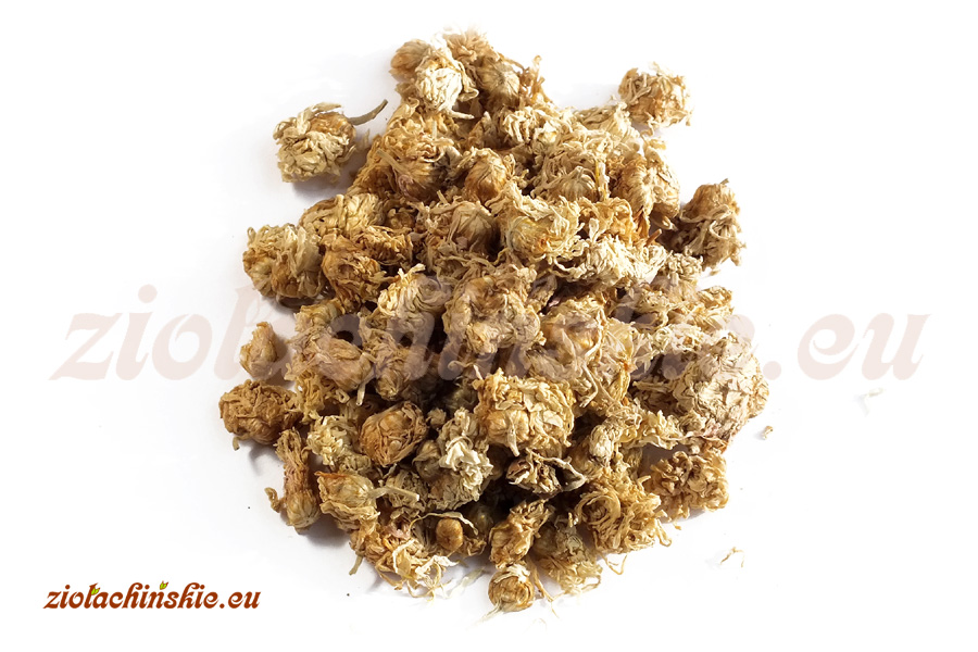 Ju Hua - Chrysanthemi, Flos - Złocień, Kwiat