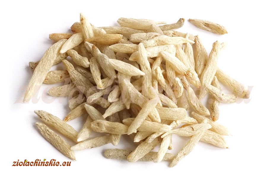 Mai Men Dong / Mai Dong - Ophiopogonis, Radix (Tuber) - Konwalnik japoński, Korzeń (Bulwa)