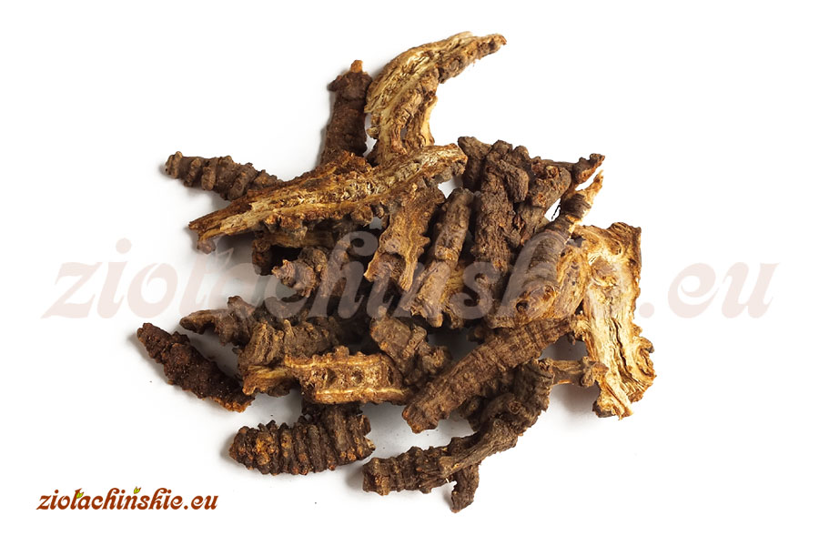 Qiang Huo - Notopterygii, Rhizoma et Radix
