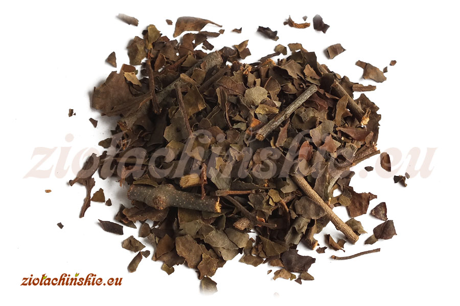 Sang Ji Sheng - Taxilli, Herba - Gązewnik chiński, Ziele