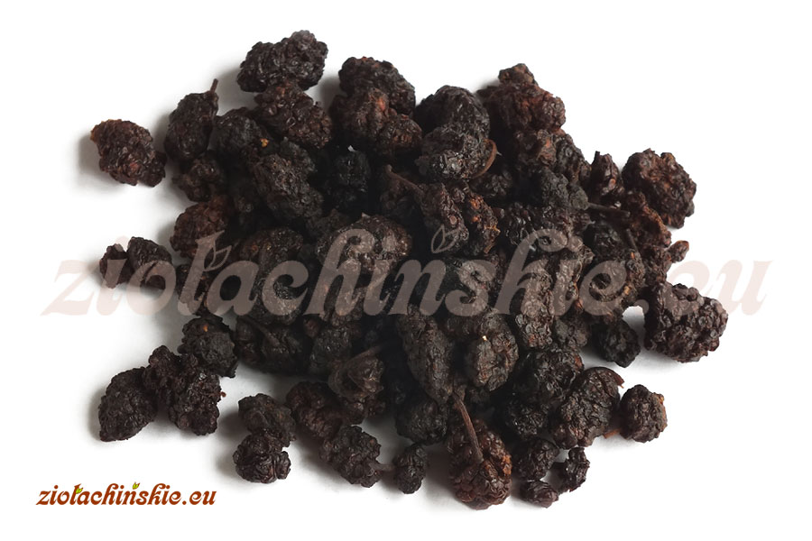 Sang Shen / Sang Shen Zi - Mori, Fructus - Morwa biała, Owoc