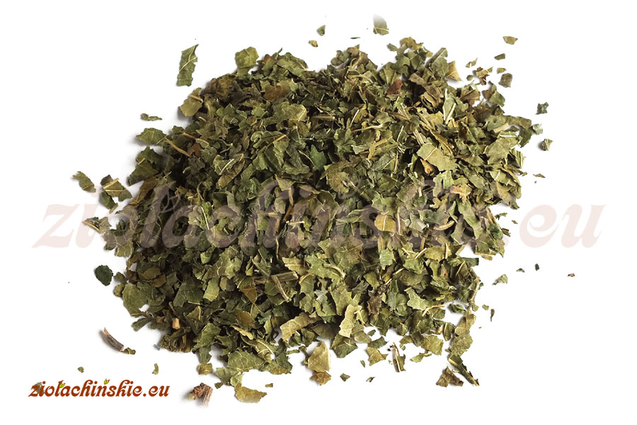 Sang Ye - Mori, Folium - Morwa biała, Liść