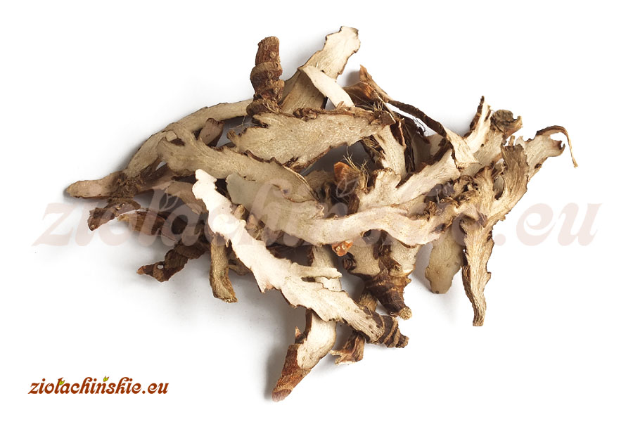 Shi Chang Pu / Chang Pu - Acori graminei (tatarinowii), Rhizoma - Tatarak trawiasty, Kłącze