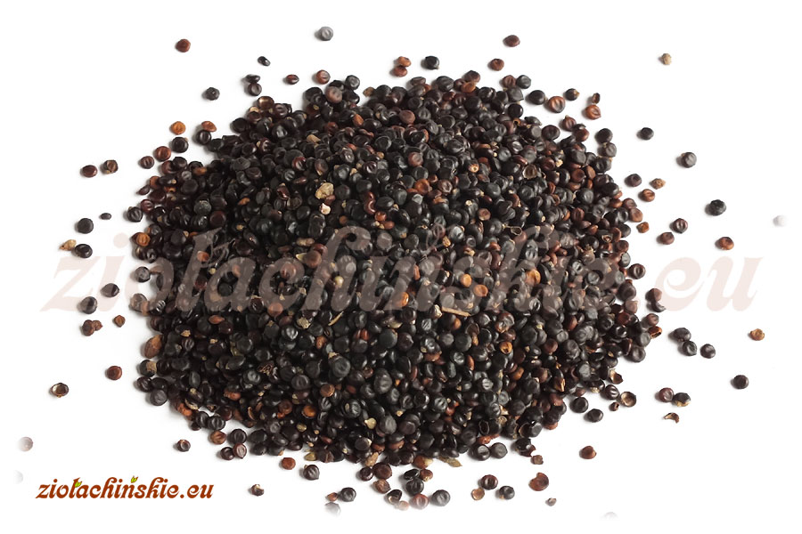 Shui Hong Hua Zi - Polygoni orientalis, Fructus - Rdest wschodni, Owoc
