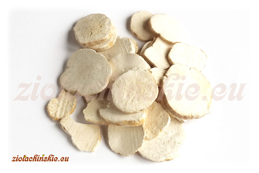 Tian Hua Fen / Hua Fen / Gua Lou Gen - Trichosanthis, Radix - Gurdlina, Korzeń