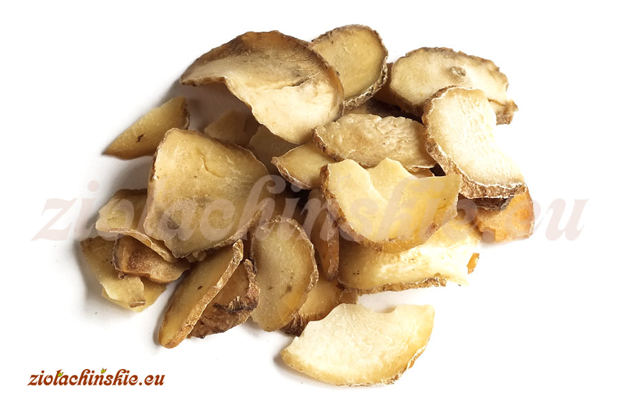 Tian Nan Xing / Nan Xing - Arisaematis, Rhizoma - Arizema, Kłącze