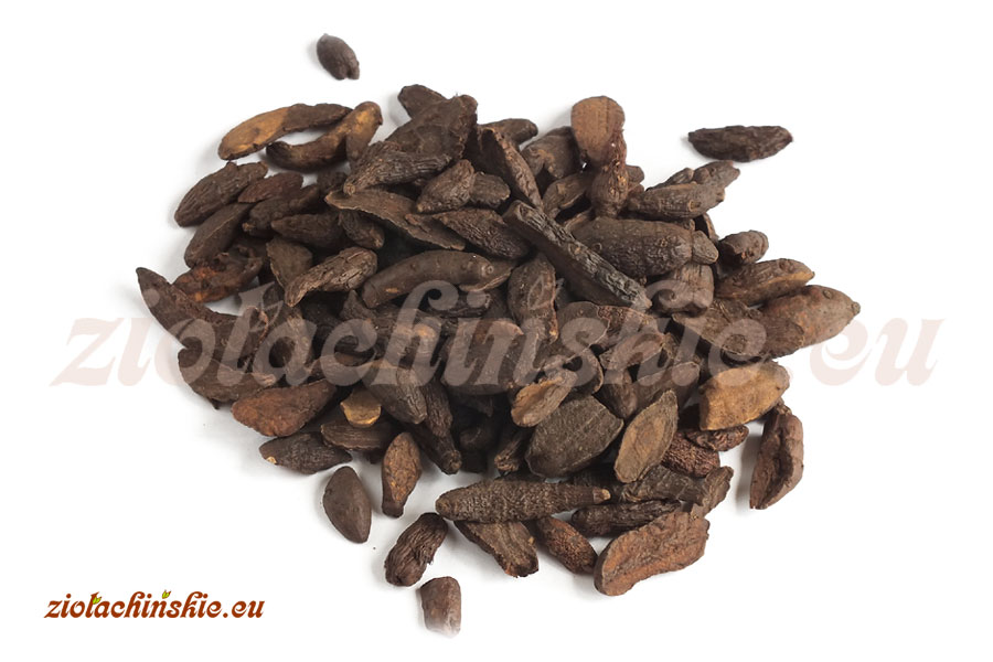 Xiang Fu - Cyperi, Rhizoma - Cibora, Kłącze