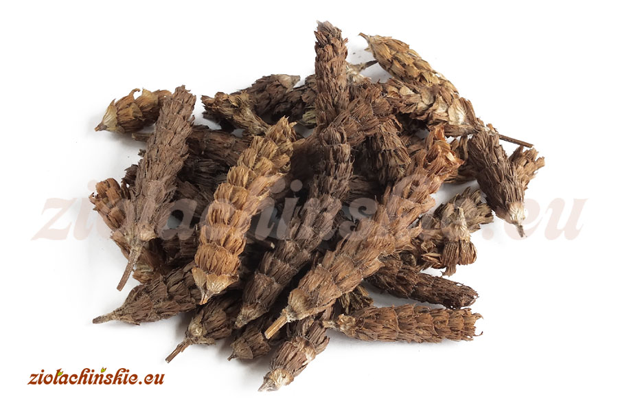Xia Ku Cao - Prunellae, Spica - Głowienka pospolita, Kłos