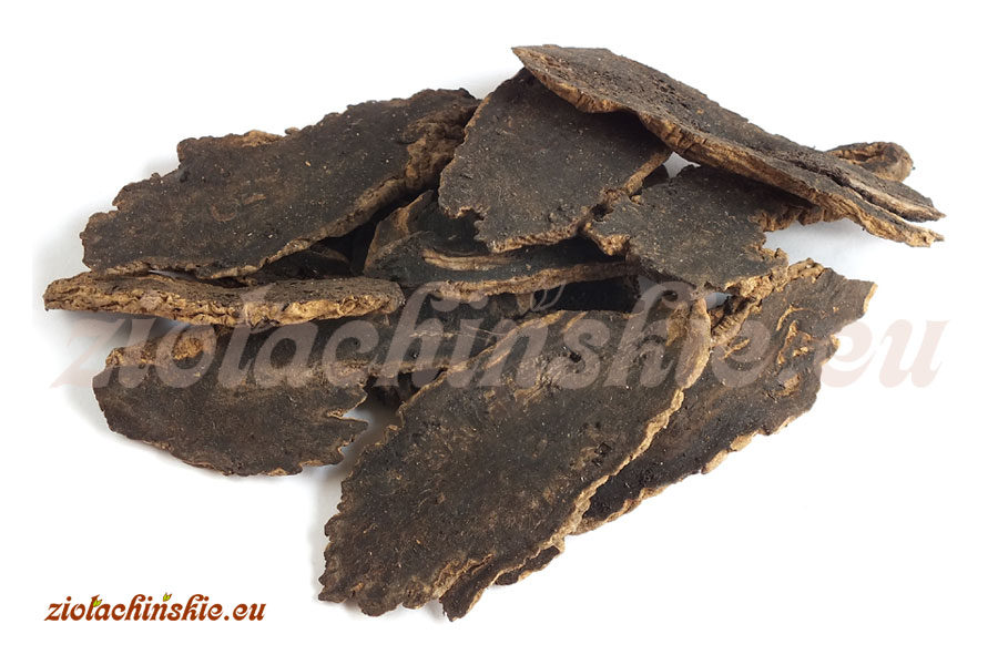 Xuan Shen / Yuan Shen - Scrophulariae, Radix - Trędownik, Korzeń
