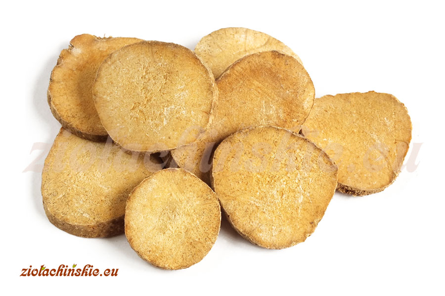 Ze Xie - Alismatis orientalitis, Rhizoma - Żabieniec babka wodna, Kłącze