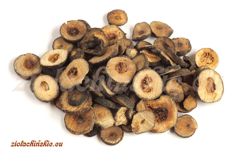 Zhi Shi - Aurantii, Fructus immaturus - Pomarańcza gorzka, Owoc niedojrzały