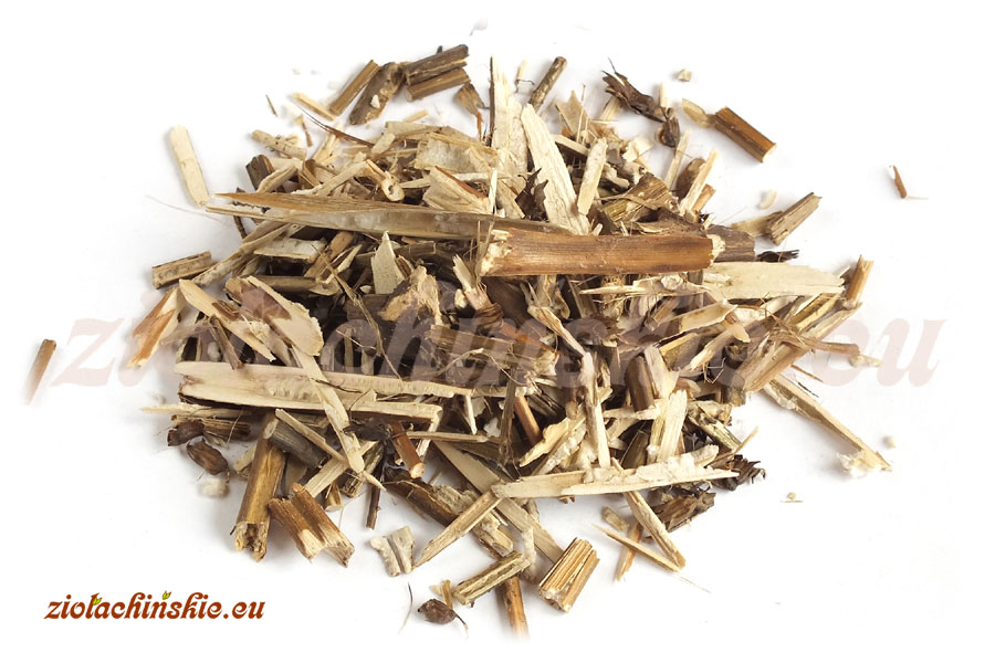 Zi Su Geng / Su Geng - Perillae, Caulis - Pachnotka zwyczajna, Łodyga