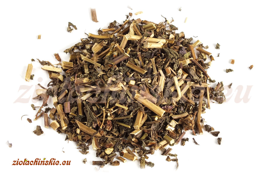 Zi Su Ye / Su Ye - Perillae, Folium - Pachnotka zwyczajna, Liść